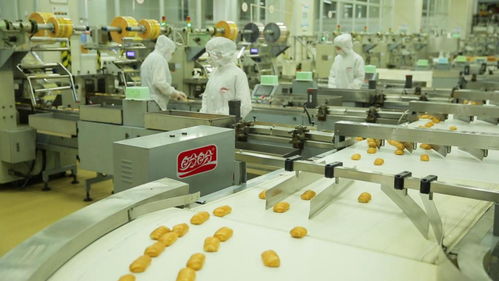 为巴黎奥运会喝彩——盼盼之家巴黎体验店开幕与麦秸画艺术盛宴